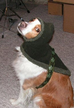 craftfail Fat Dog in a Little Coat.jpg